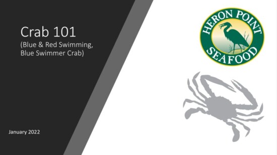 thumbnail of Crab 101